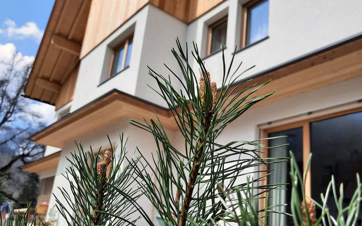 Villnoss Apartment | 51 m² Apartment ∙ 3 bedrooms ∙ 4 guests