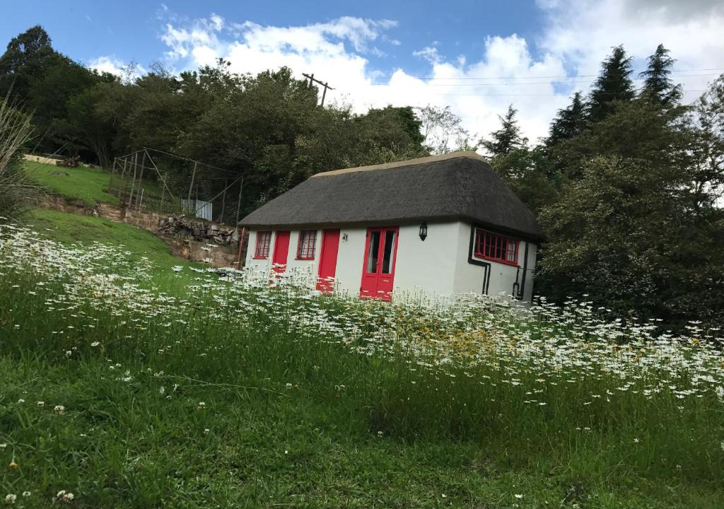 Rosetta House | A Boat House
