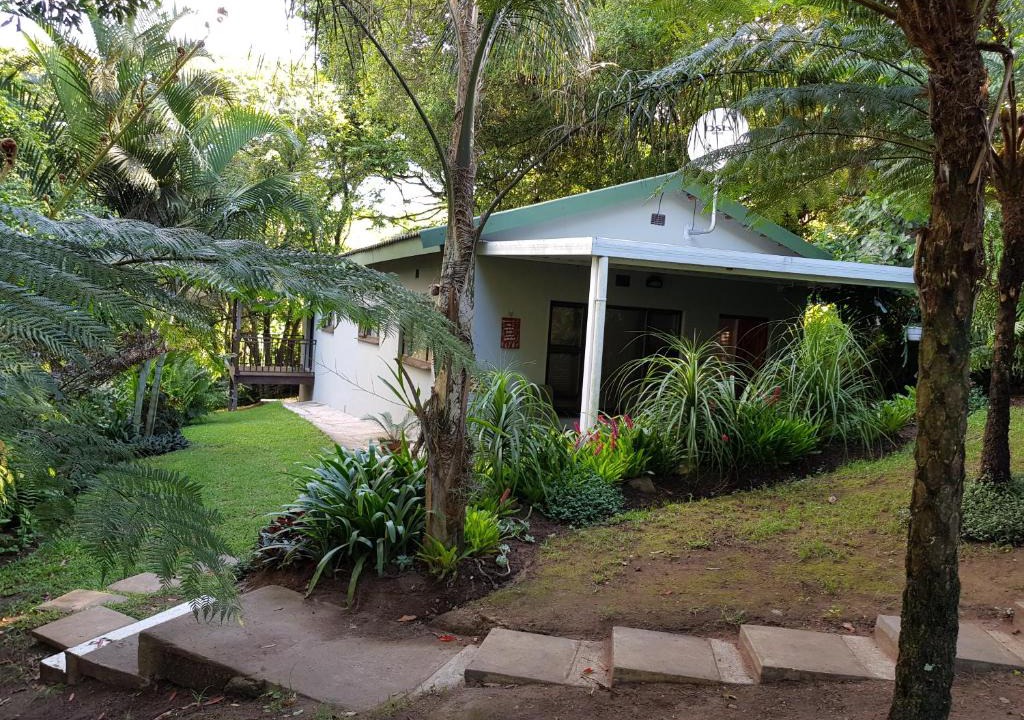 uMlalazi House | African Dwarf Kingfisher Guesthouse