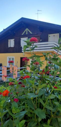 Casez House | Agritur Casa al Mulino Camere