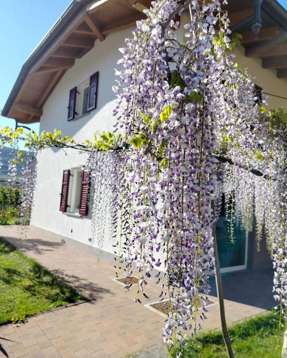 Nave San Rocco House | Agritur Lavanda