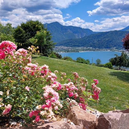 Tenna House | AGRITUR SEDICI - Bed and Breakfast