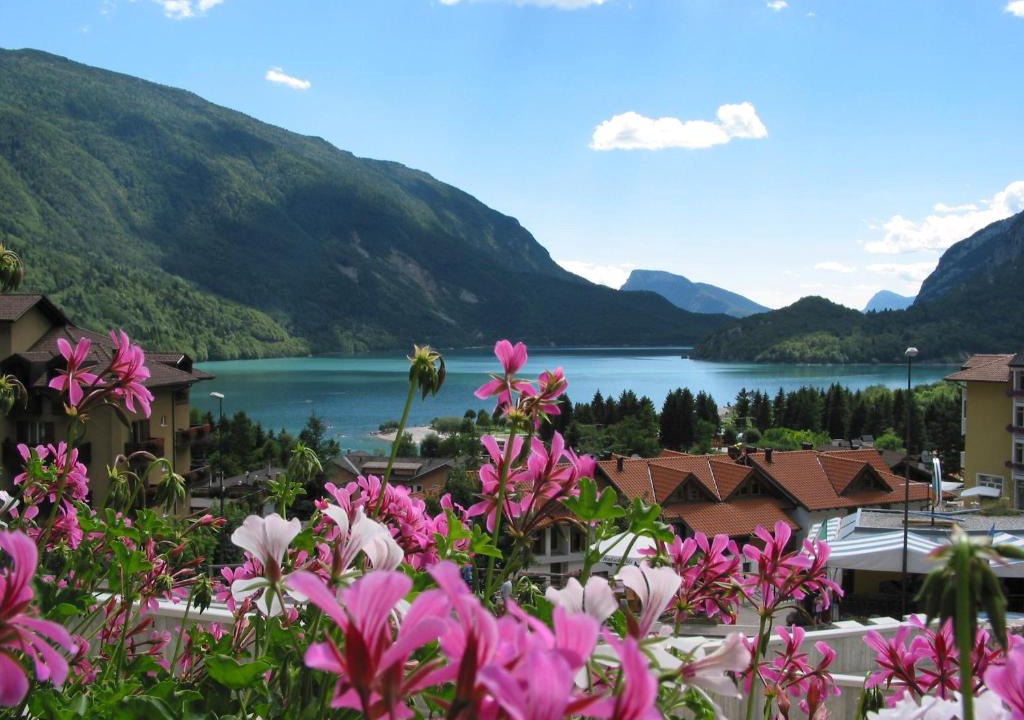 Molveno Hotel | Albergo Stella Alpina