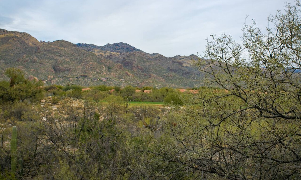 Tucson Condo | Amazing interior upgrades highlighted by the picture perfect mountain views