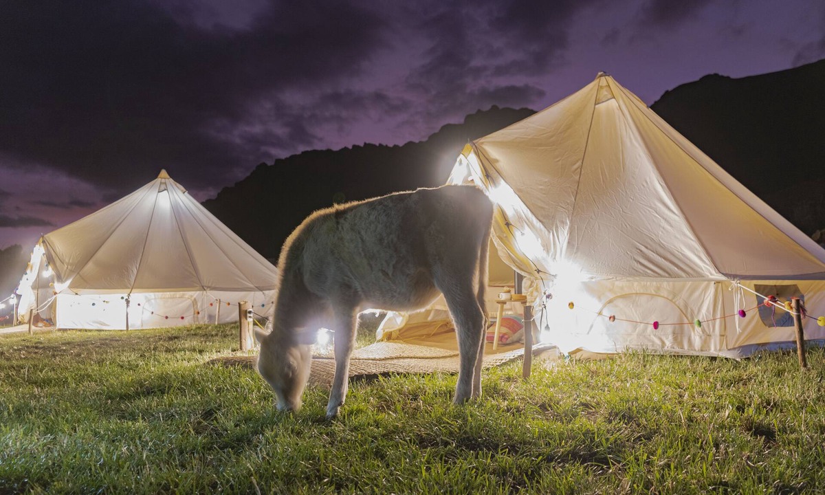Pisac Cabin | Andean Glamping
