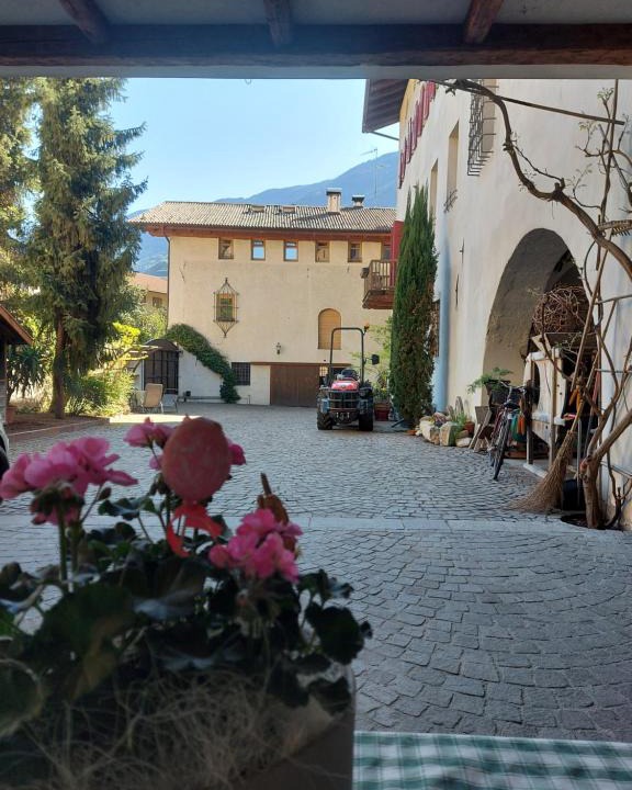 Salorno Apartment | Ansitz von Wohlgemuth