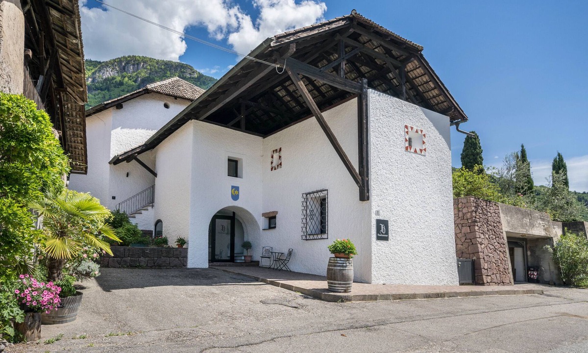 Terlano Apartment | Apartment 'Thanhammer Nova Domus' with Mountain View, Pool and Air Conditioning
