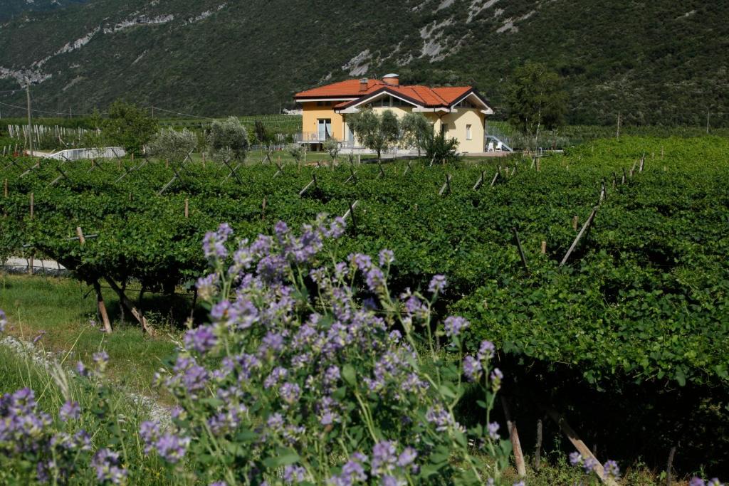 Dro Apartment | Appartamenti Al Vigneto