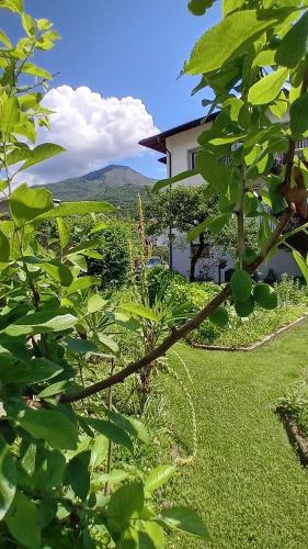 Mattarello Apartment | Appartment Lodged Mamma Maria
