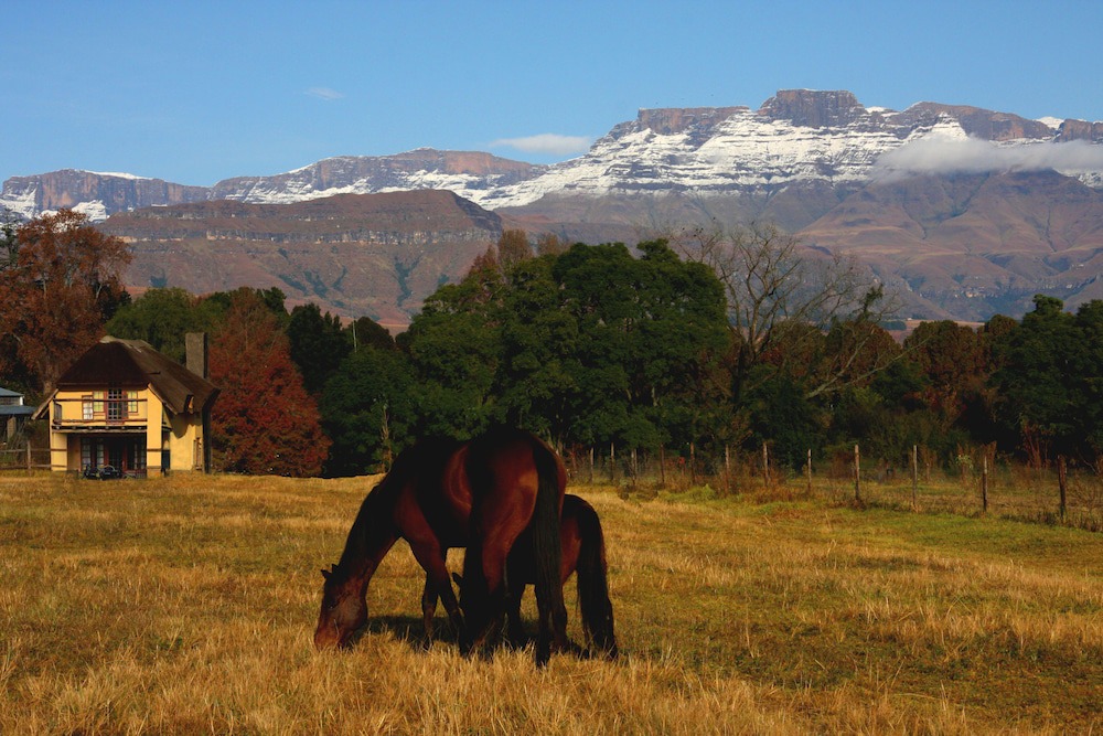 Ardmore House | Ardmore Guest Farm