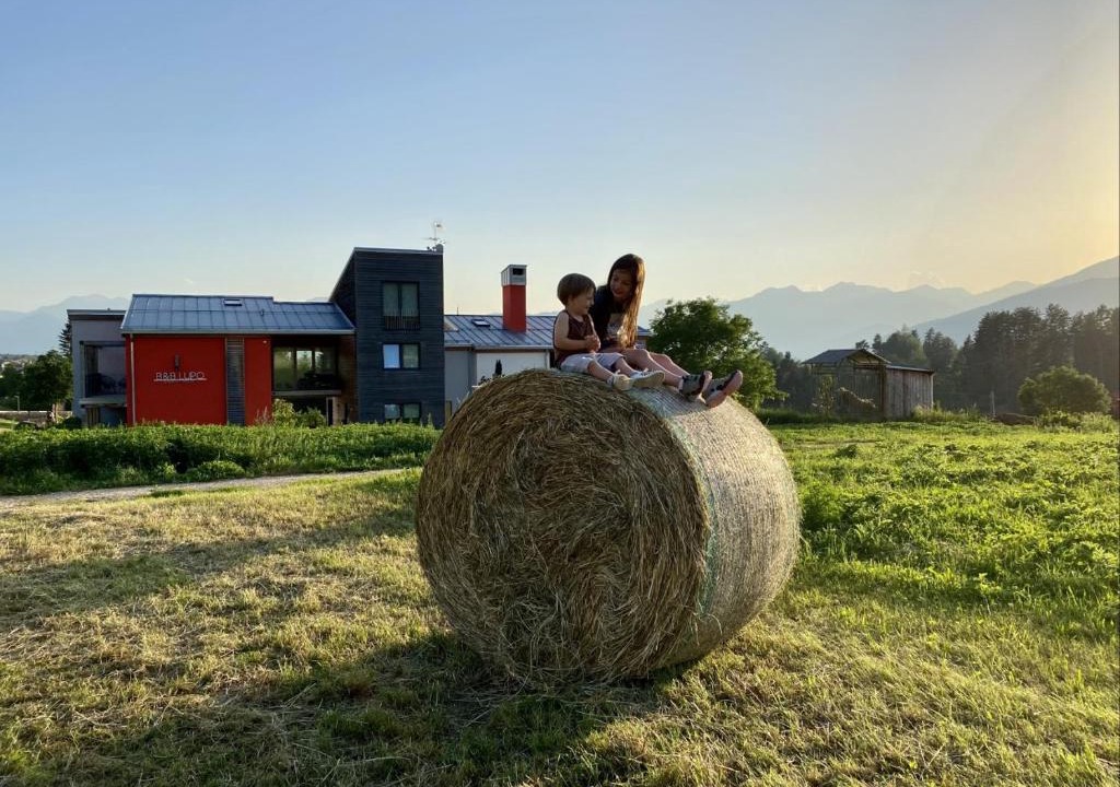 Amblar-Don Bed & Breakfast | B&B Lupo