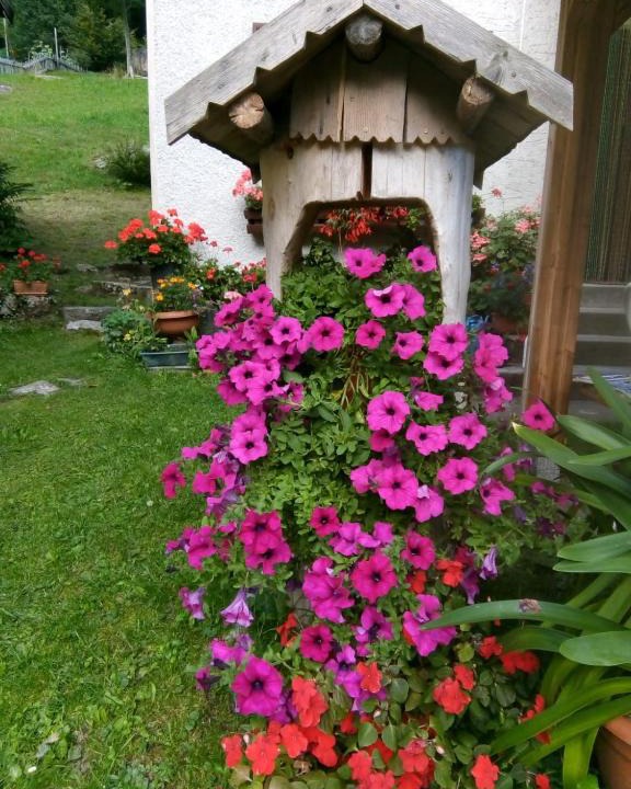 Telve Bed & Breakfast | B&B PRA' DEI CERVI