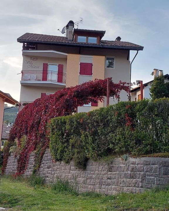 Cavalese Bed & Breakfast | Bed & breakfast Villa Maria