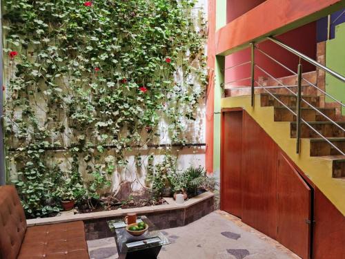 Chivay Hotel | Belen Achomani