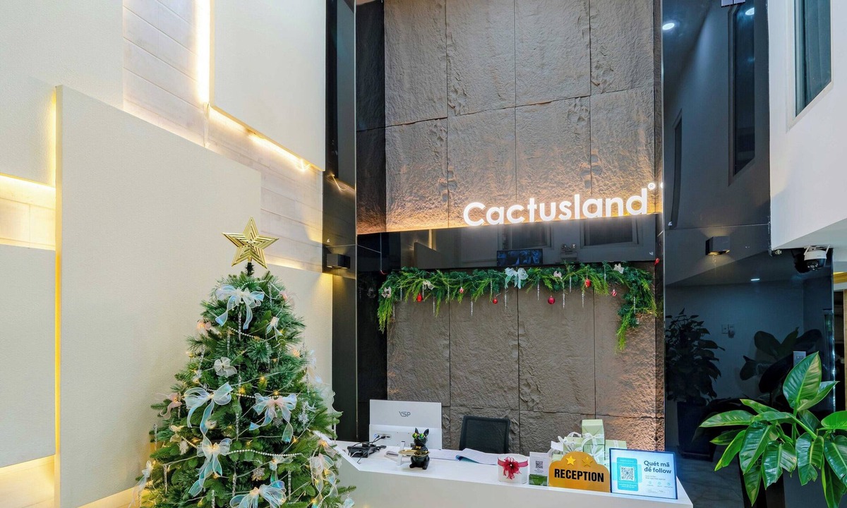 Ba Queo Hotel | Cactusland Hotel Tan Binh