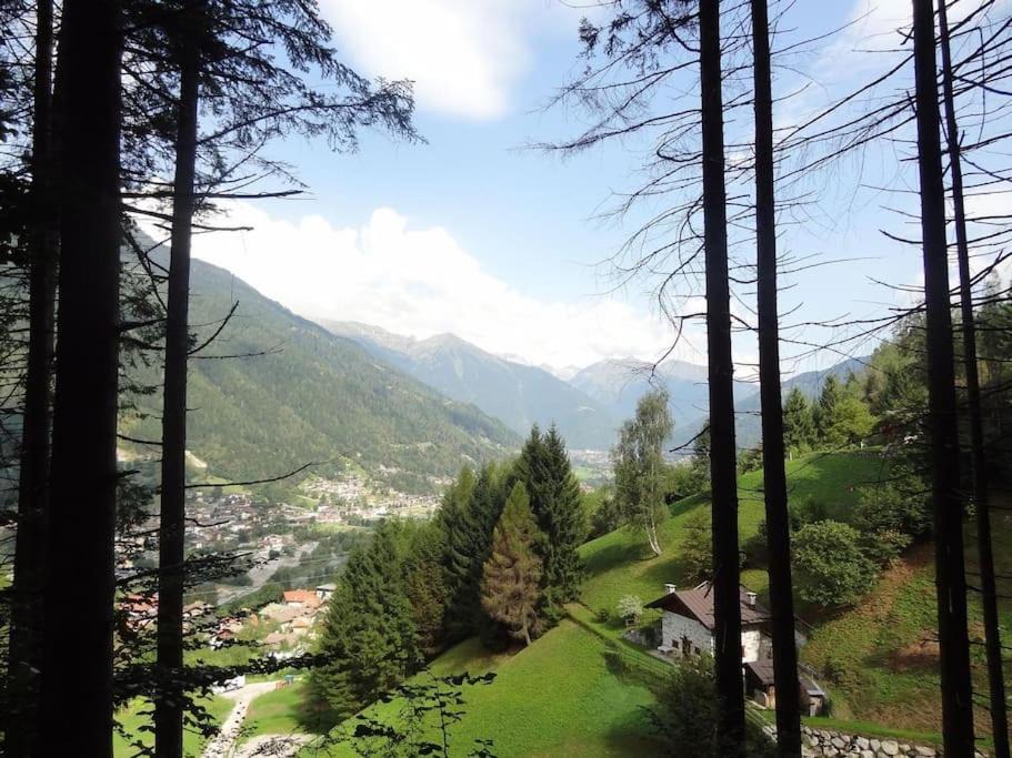 Bocenago Ski Chalet | Chalet Maso Salam