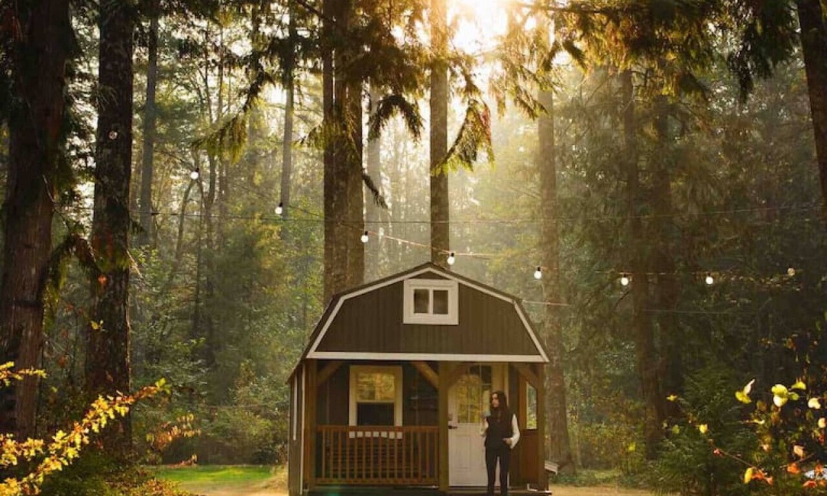 Index House | Clay Baby- luxury shed conversion on the river + Epic Sauna + Cold Plunge