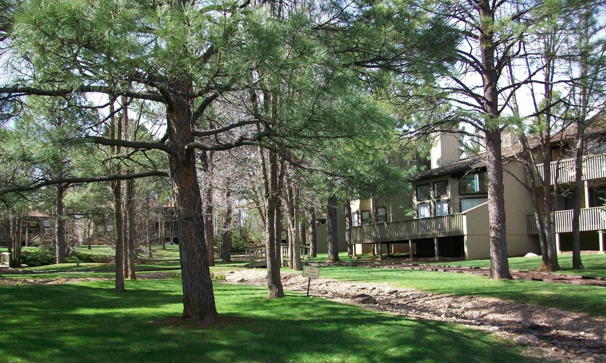 Pinetop Resort | Cool Pines get away