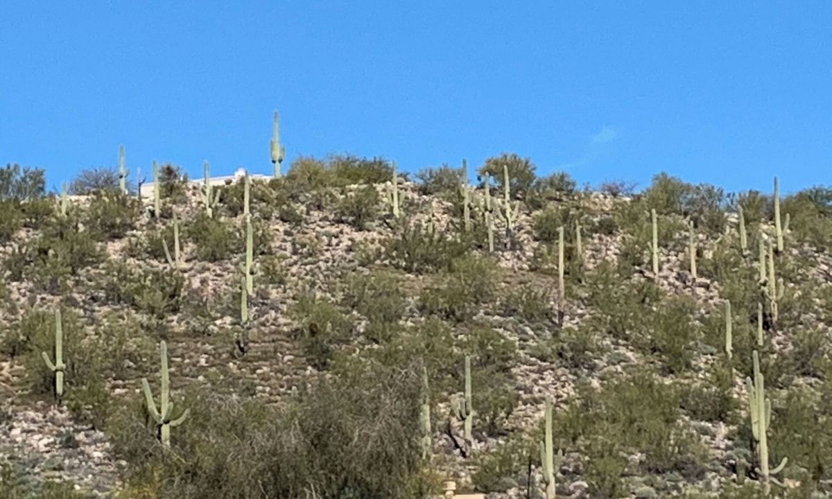 Tucson Apartment | Cozy Casita - BEST LOCATION in TUCSON