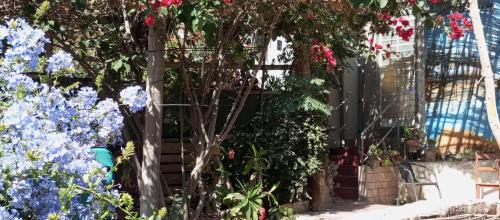 Ica Apartment | Departamento con Cochera gratuita dentro de Instalaciones 8p Tierra del Sol Eterno Ica centro