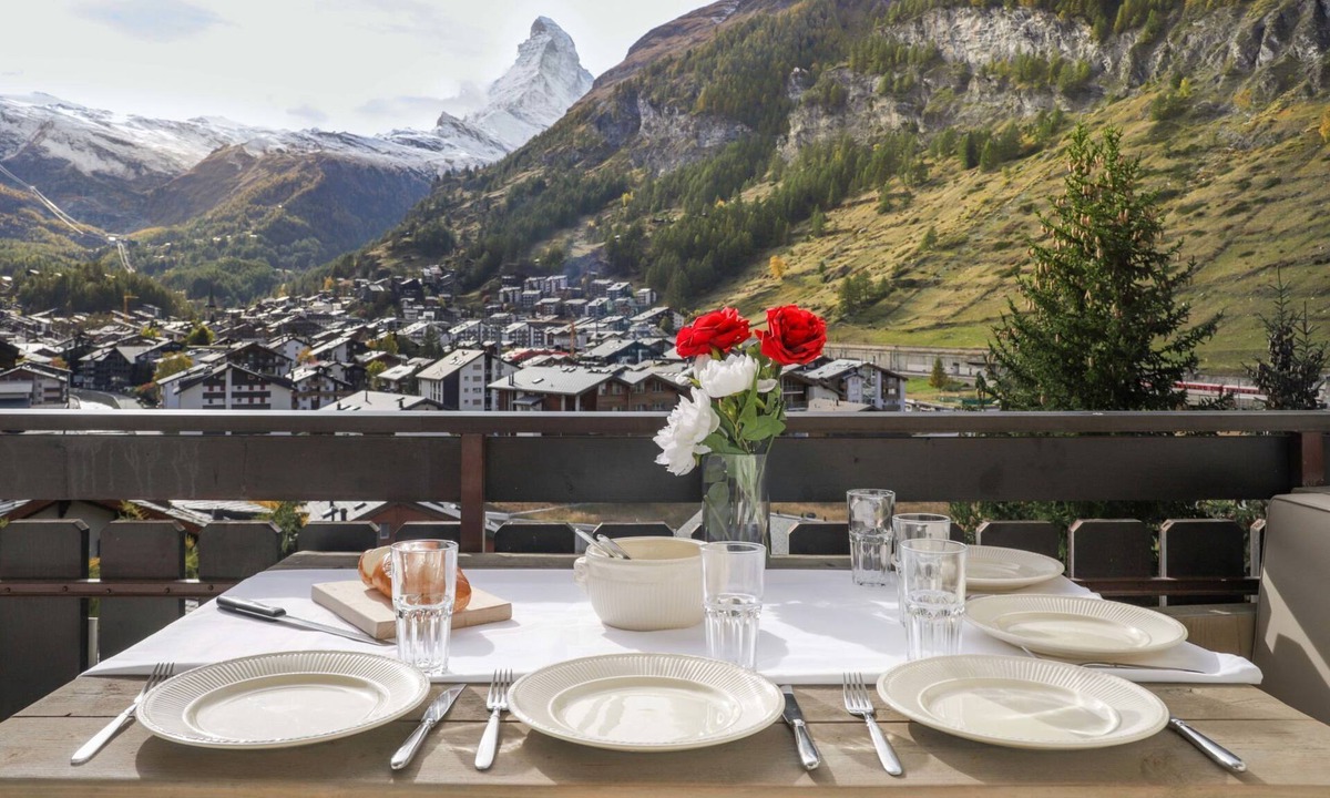Dianthus | Zermatt
