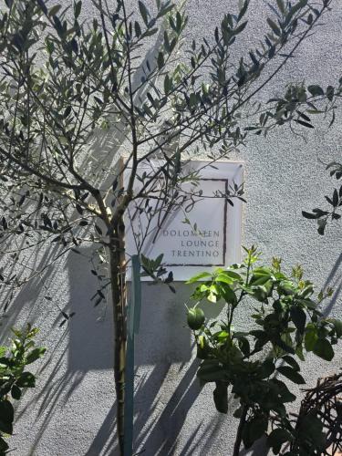 Pergine Valsugana Apartment | Dolomiten Lounge - moderno con parcheggio privato