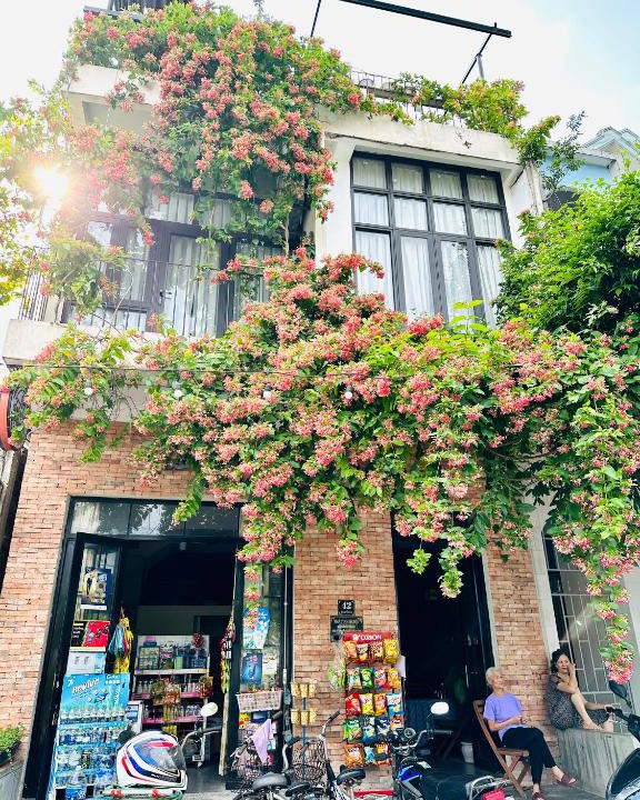 Dong Hoi House | Dolphin Home