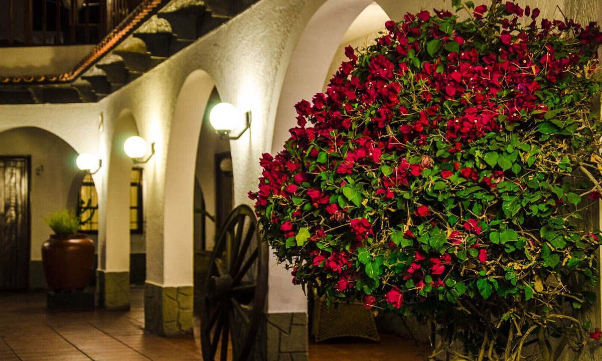 Nazca Hotel | Don Agucho Hotel