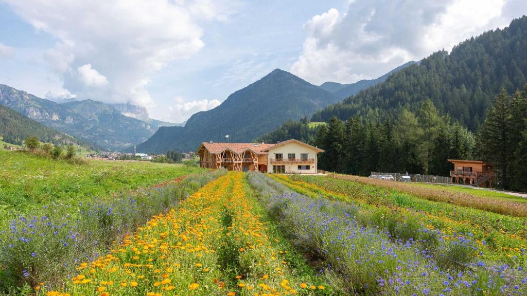 San Giovanni di Fassa House | Eco-Green Fiores Agriturismo