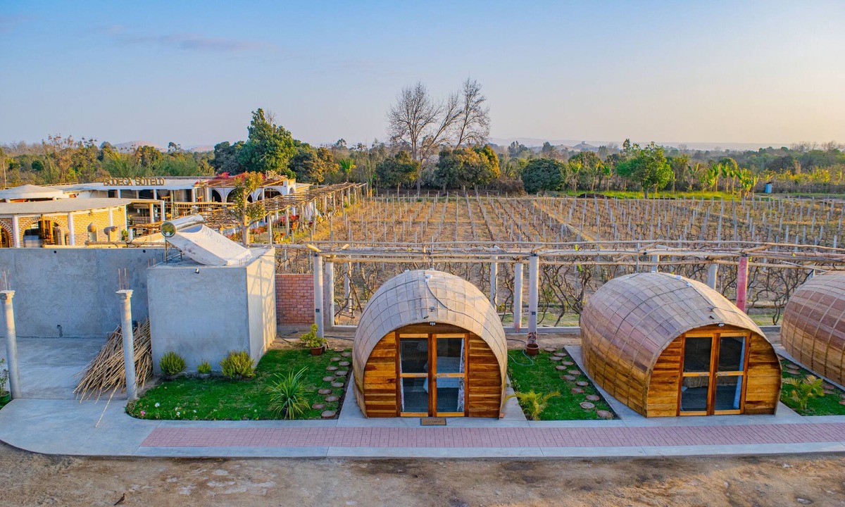 San Juan Bautista RV Rental | Glamping Toneles y Viñedos en la Ruta del Pisco