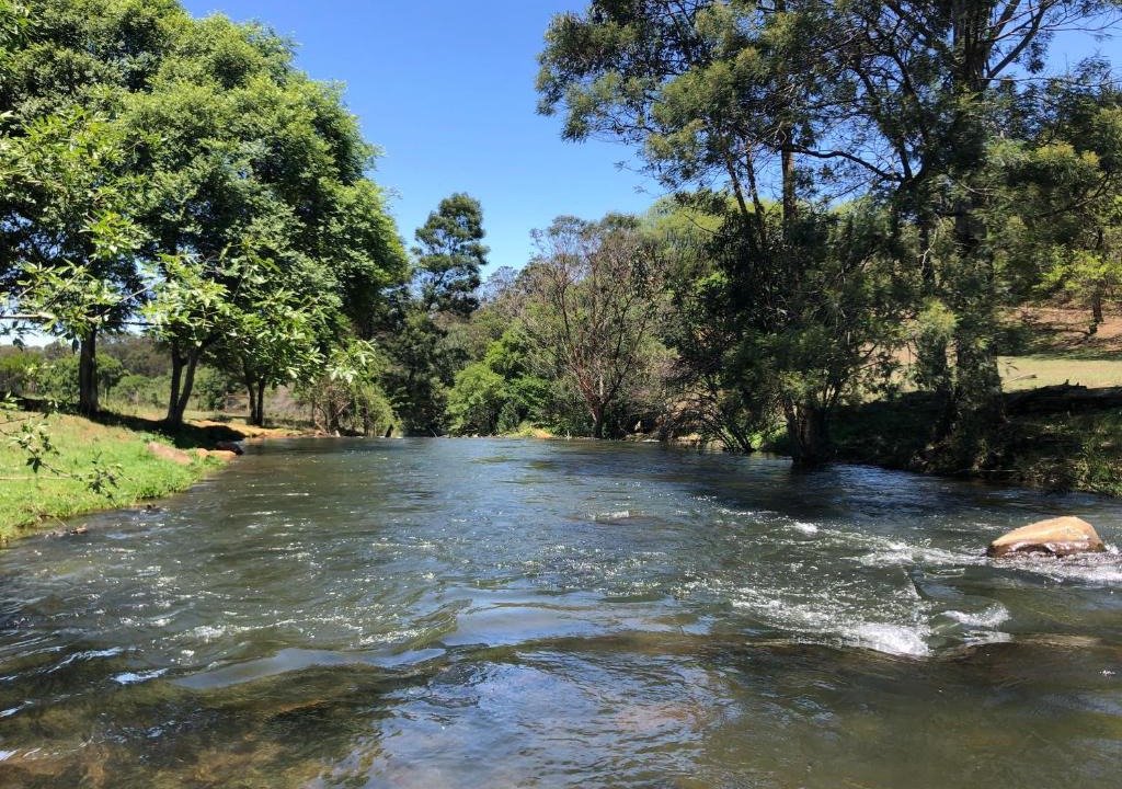 Balgowan Bed & Breakfast | Gowan Valley Guest Farm