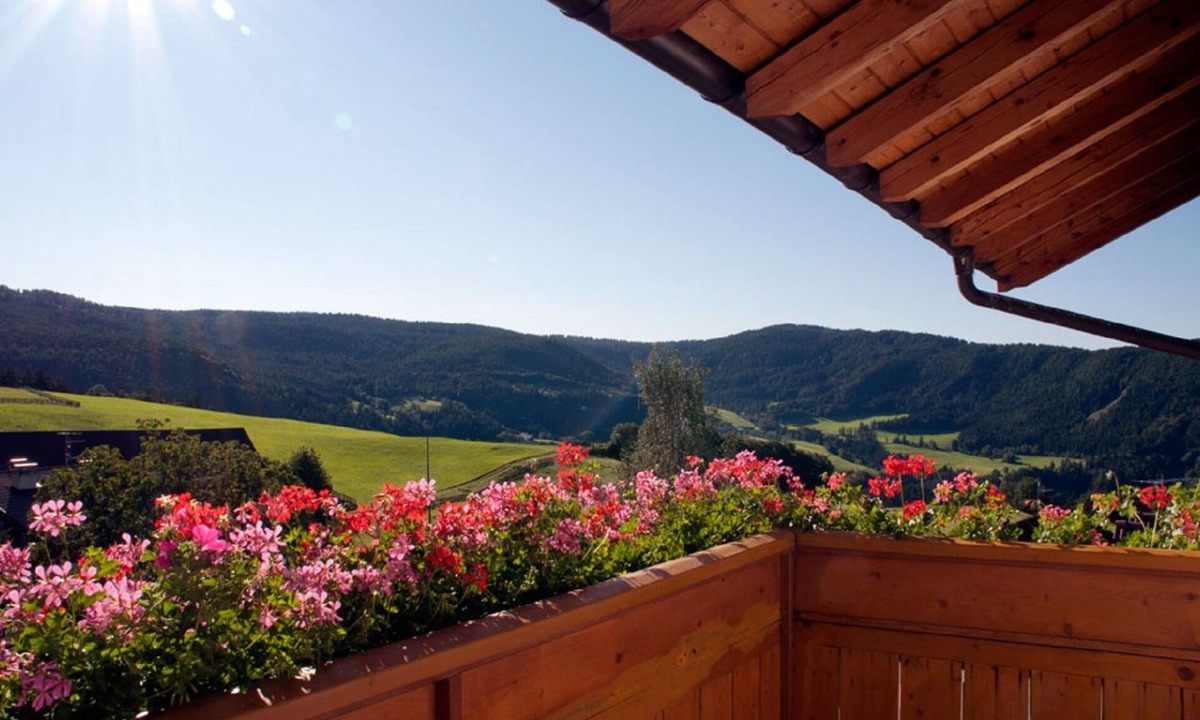 Salonetto Apartment | Holiday Apartment "Mölten" with Mountain View, Wi-Fi, Balcony & Garden