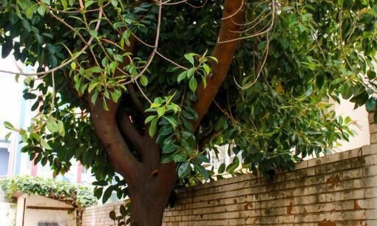 Vina del Mar Hostel | Hostal Entreorientes