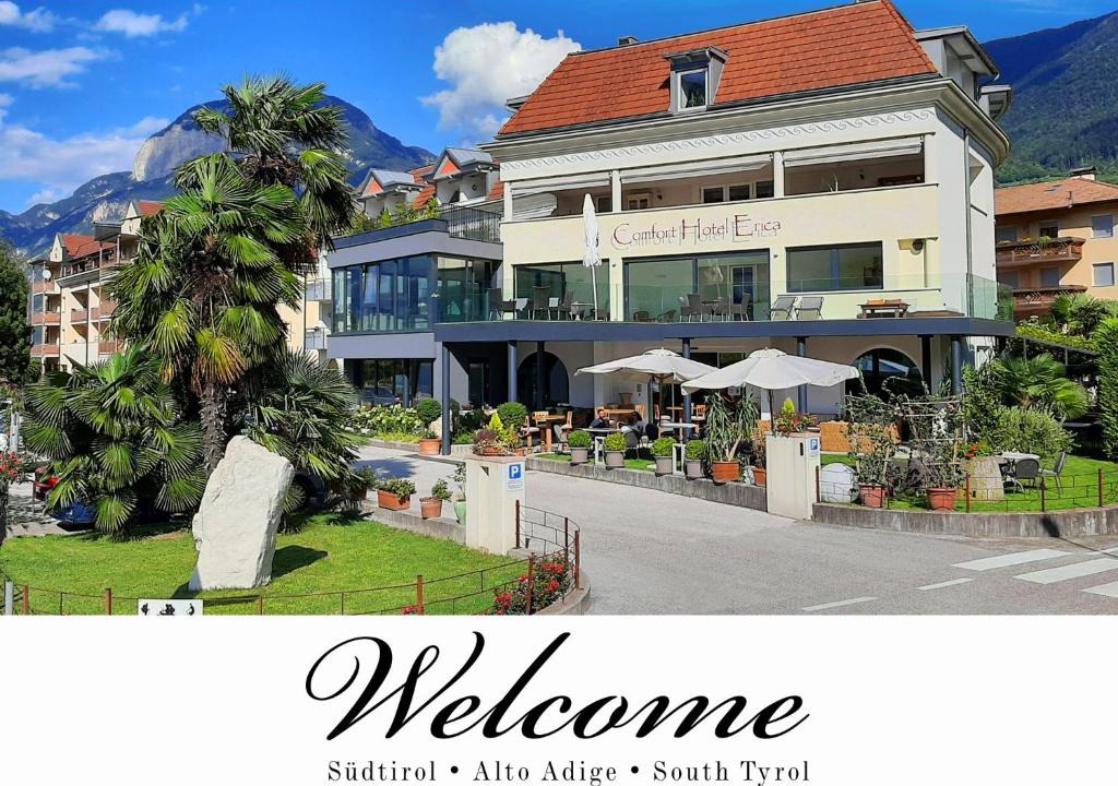 Salorno Hotel | Hotel Comfort Erica Dolomiti Val d'Adige