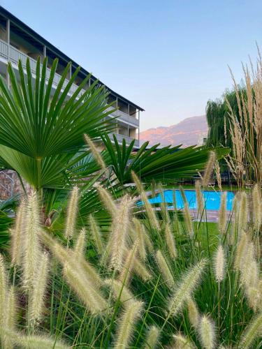 Auer Hotel | Hotel Turmwirt