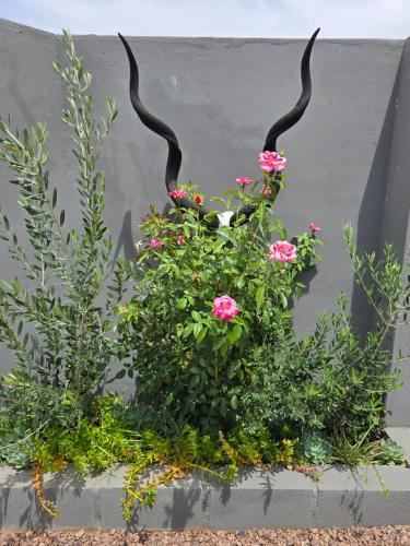 Prieska House | Karoovlaktes