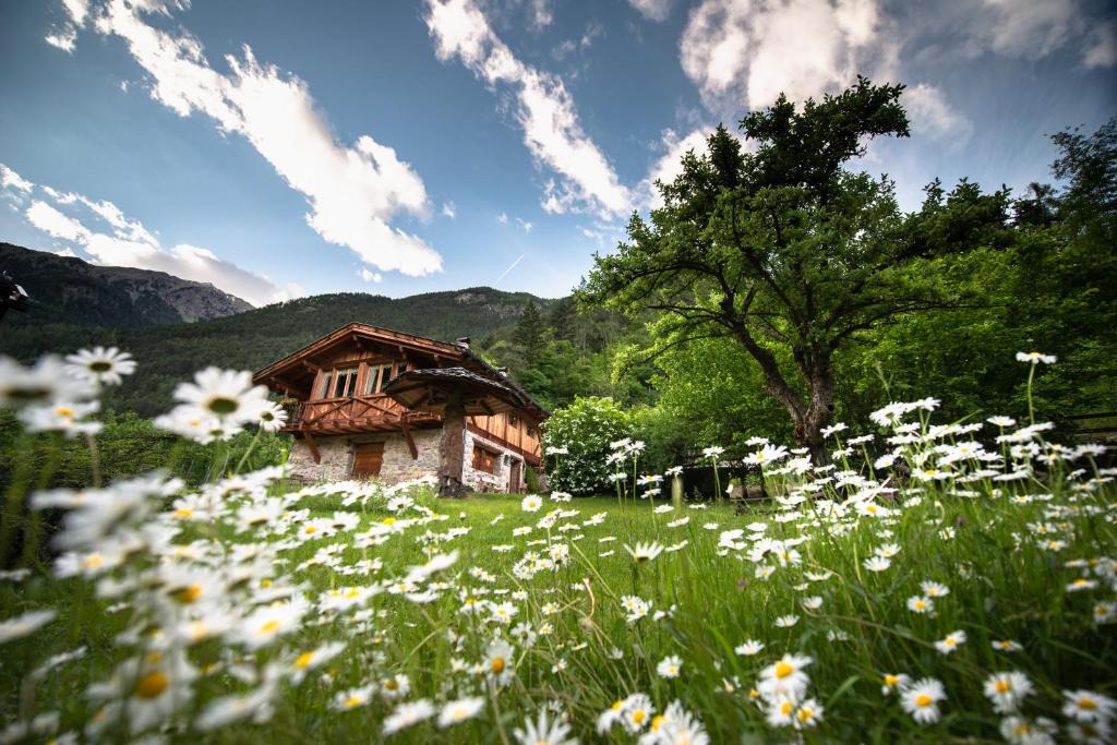 Cis Ski Chalet | Mas Antico Molino