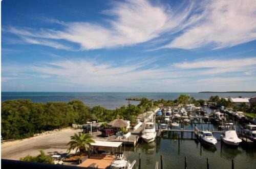 Key Largo Apartment | Oceanfront 5th Floor Penthouse