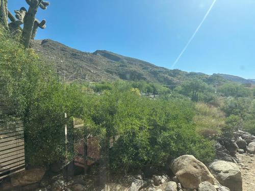 Tucson Apartment | Our Mountain View