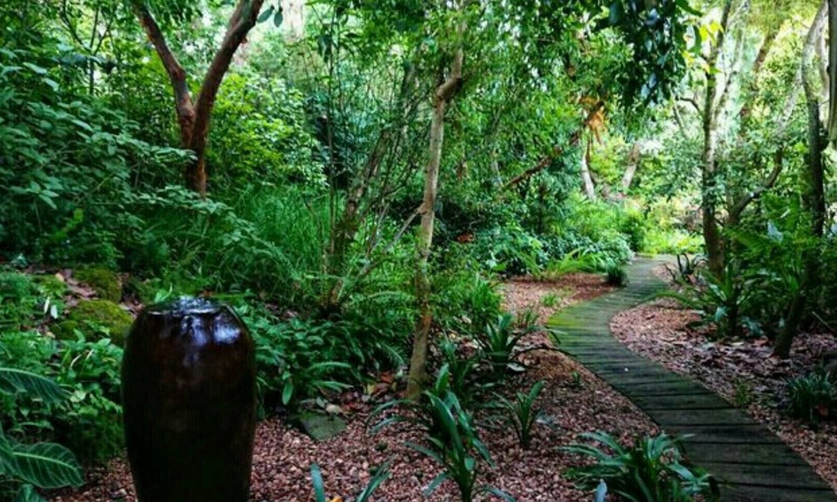Kloof Cottage | Paperbark Cottage, perfectly situated in a beautiful garden