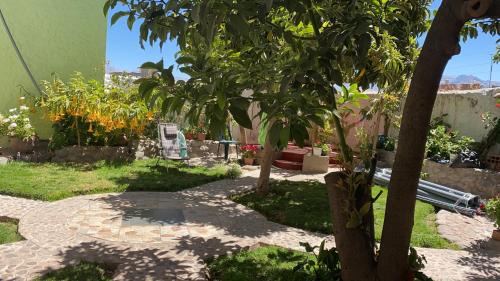 Cabanaconde Hotel | Paraiso Palmeras - Cabanaconde