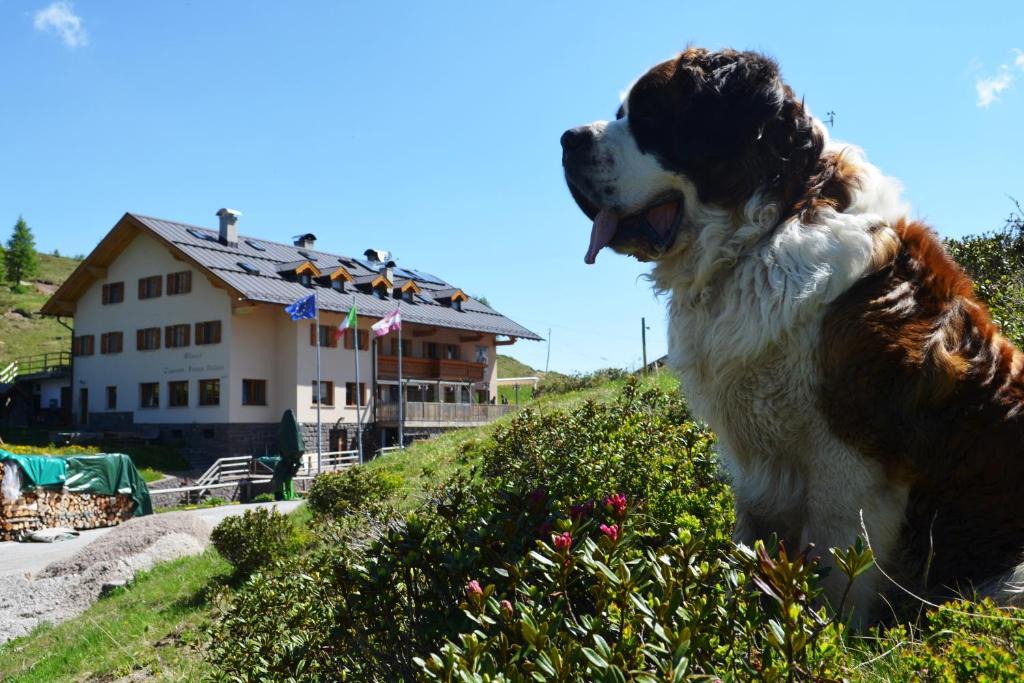 Tonadico Bed & Breakfast | Rifugio Capanna Passo Valles