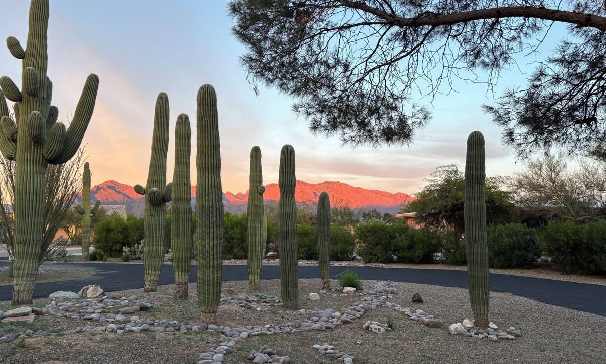 Casas Adobes House | Saguaros and Sunsets in the heart of Tucson