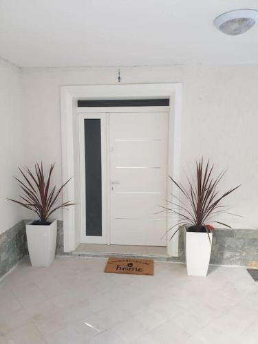 Shkoder House | Shkodra 27 center house