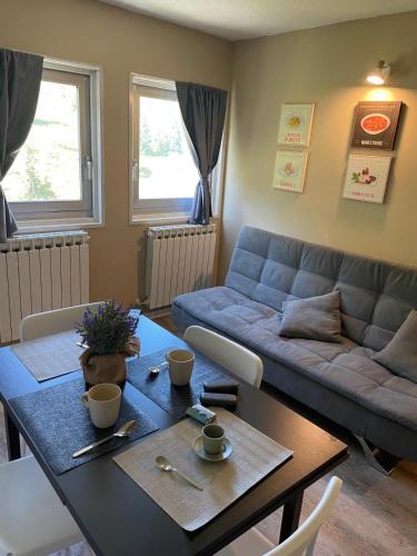 Passo del Tonale Apartment | Ski Apartment