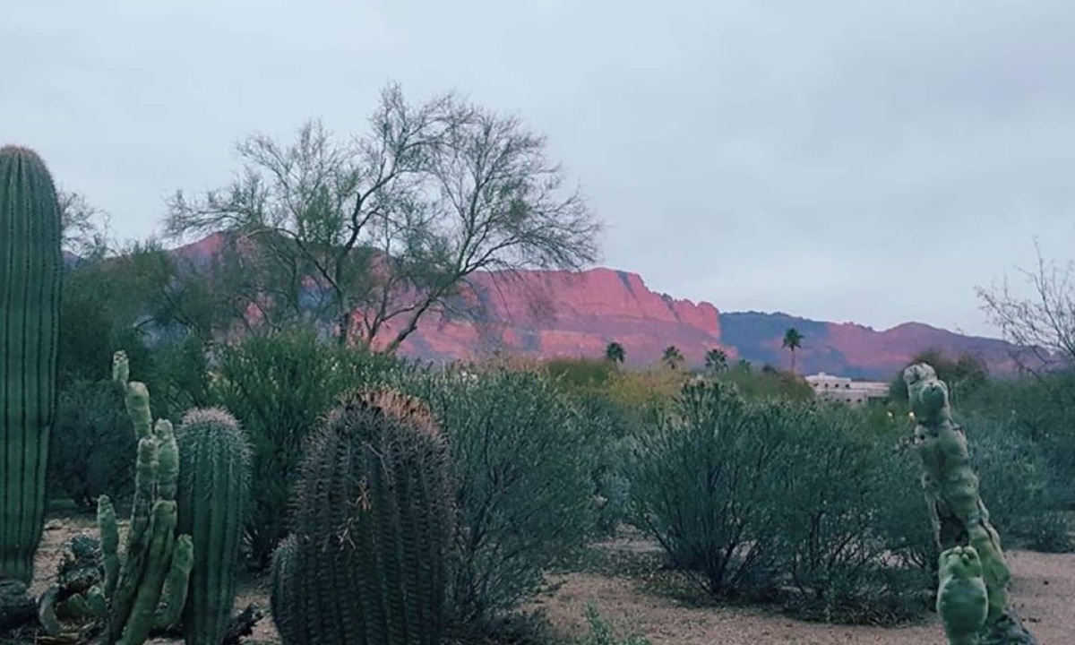 Mesa del Oro House | Sleepy Hollow Haven Amazing Superstition Mountain views & Jacuzzi