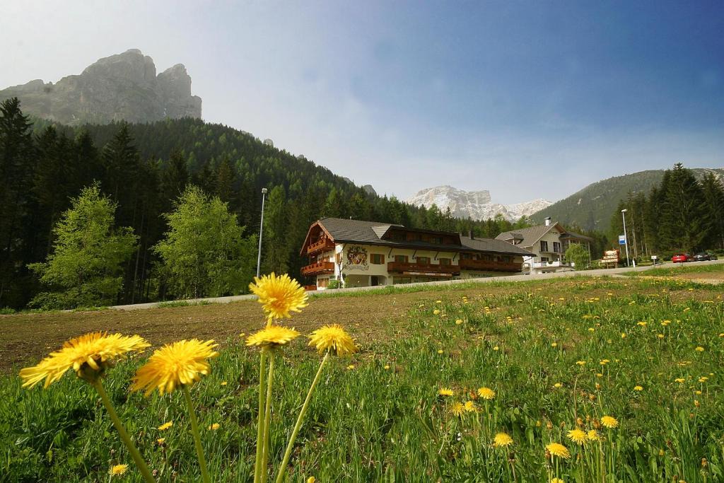 San Vito Hotel | Steinerhof