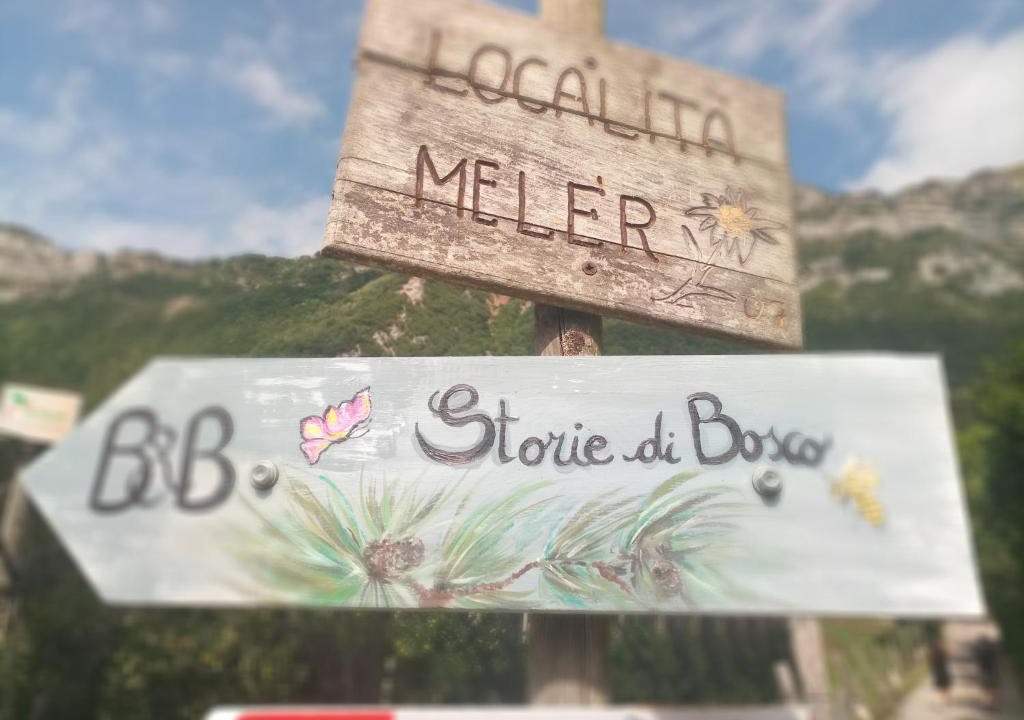 Villa Lagarina Bed & Breakfast | Storie di bosco