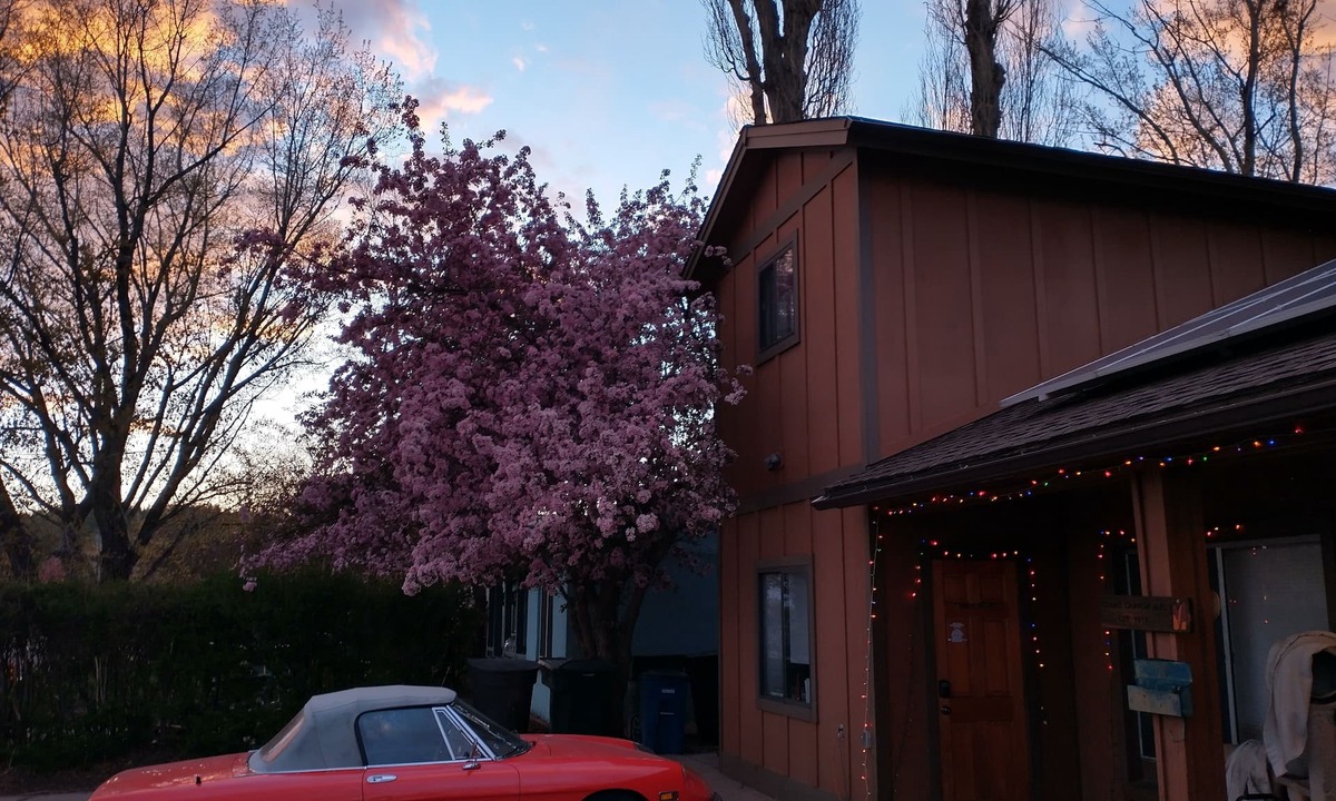 Flagstaff House | Sweet Private 2 room Guest Suite near Downtown Flagstaff and Snowbowl