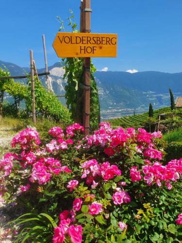 Kurtatsch an der Weinstraße Apartment | Voldersberghof